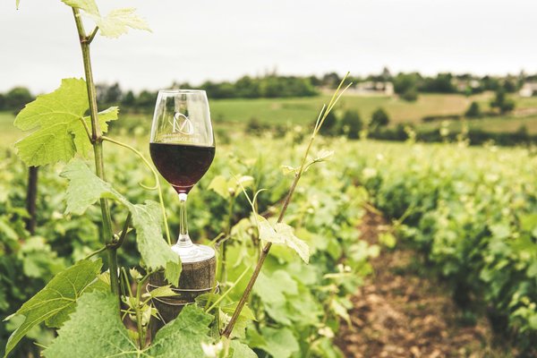 Aventure humaine à lestang 1573 : saveurs et partages à sancerre